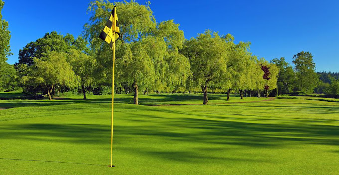 Delta Golf & Country Club: Your Gateway to a Premier Golfing